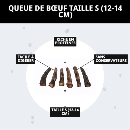 Queue de Bœuf S pour chiens 100% naturel et sain.