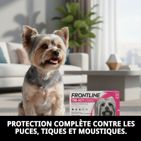 Frontline Tri-Act : Protection totale pour chiens de 2 à 5 kg