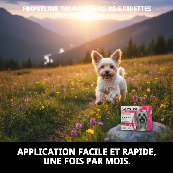 Frontline Tri-Act : Protection totale pour chiens de 2 à 5 kg