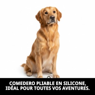 Gamelle Pliable en Silicone 350ml pour Voyages avec Animaux de Compagnie 2