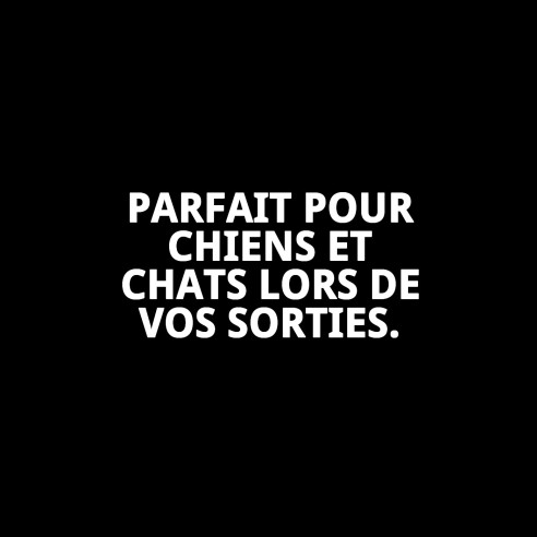 Gamelle Pliable en Silicone 350ml pour Voyages avec Animaux de Compagnie