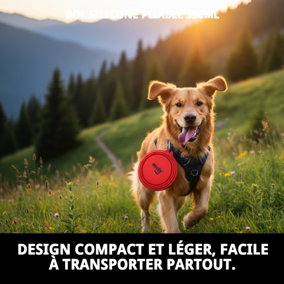 Gamelle Pliable en Silicone 350ml pour Voyages avec Animaux de Compagnie