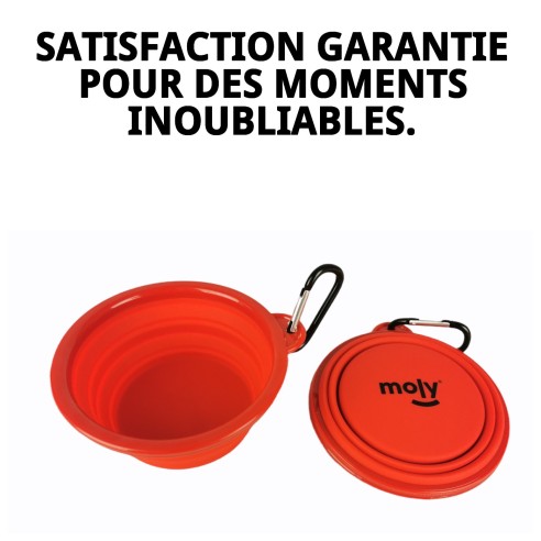 Gamelle Pliable en Silicone 350ml pour Voyages avec Animaux de Compagnie