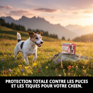 Frontline Tri-Act 5-10 kg : Protection totale pour votre chien. 2