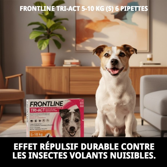 Frontline Tri-Act 5-10 kg : Protection totale pour votre chien.