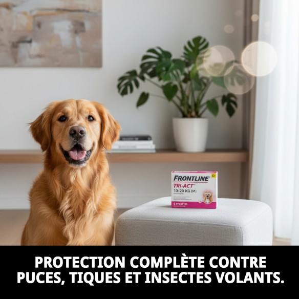 Frontline Tri-Act : Protection Totale pour Chiens de 10 à 20 kg