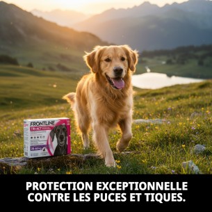 Frontline Tri-Act : Protection totale pour chiens de 20 à 40 kg. 2