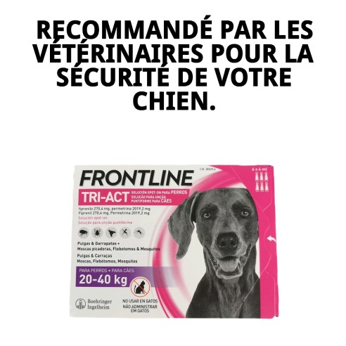 Frontline Tri-Act : Protection totale pour chiens de 20 à 40 kg.
