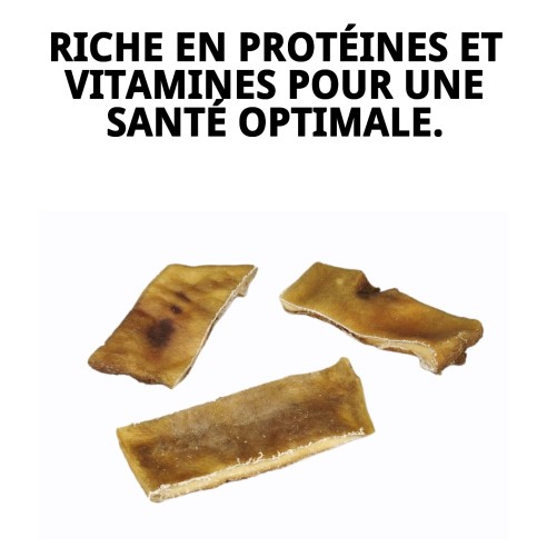 Plaque de caravaca pour chiens en viande de boeuf sans poils 1 kg