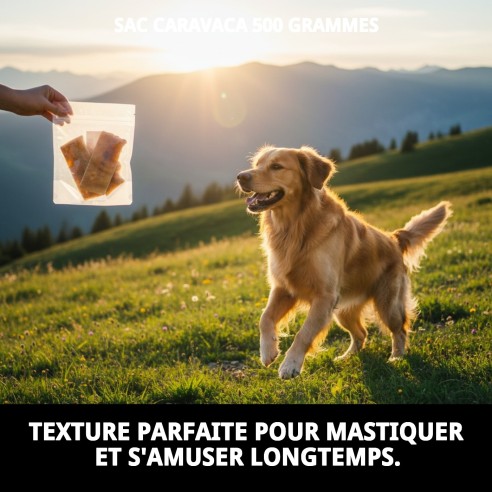 Plaque de caravaca pour chiens en viande de boeuf sans poils 1 kg