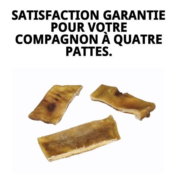 Plaque de caravaca pour chiens en viande de boeuf sans poils 1 kg