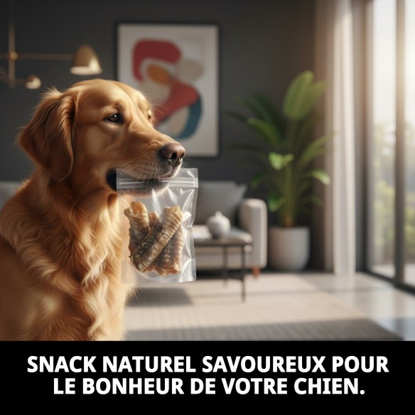 Trachée de veau déshydratée pour chiens | Moly 2 unités