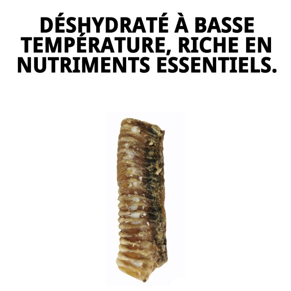 Trachée de veau déshydratée pour chiens | Moly 2 unités