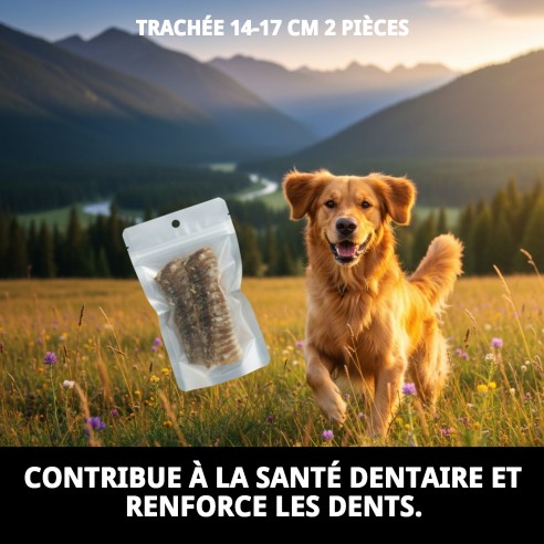 Trachée de veau déshydratée pour chiens | Moly 2 unités