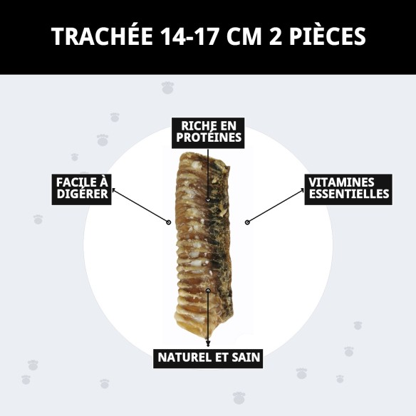 Trachée de veau déshydratée pour chiens | Moly 2 unités