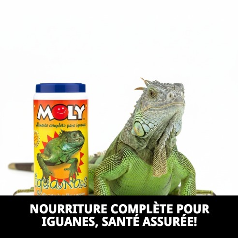 Aliment complet Moly Iguanes 360g - Nutrition idéale