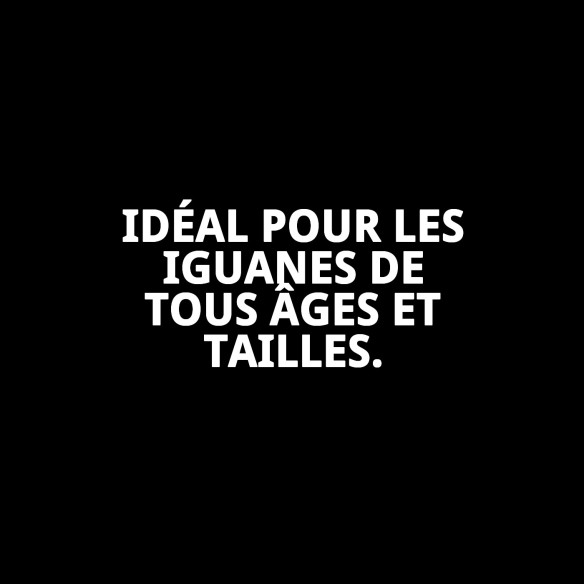 Aliment complet Moly Iguanes 360g - Nutrition idéale