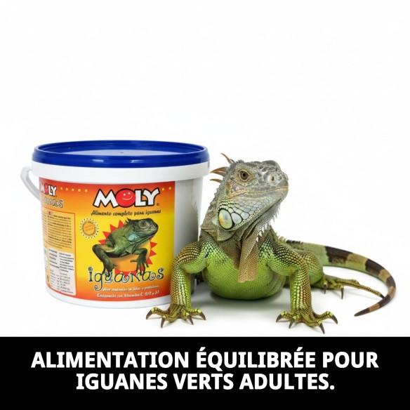 Aliment Professionnel Moly Iguanes 3kg pour Iguanes Verts