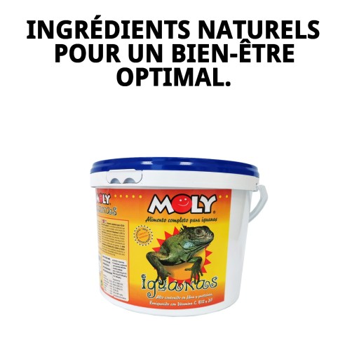 Aliment Professionnel Moly Iguanes 3kg pour Iguanes Verts