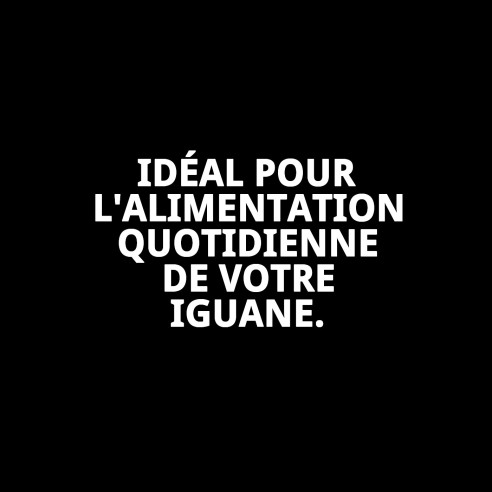 Aliment Professionnel Moly Iguanes 3kg pour Iguanes Verts