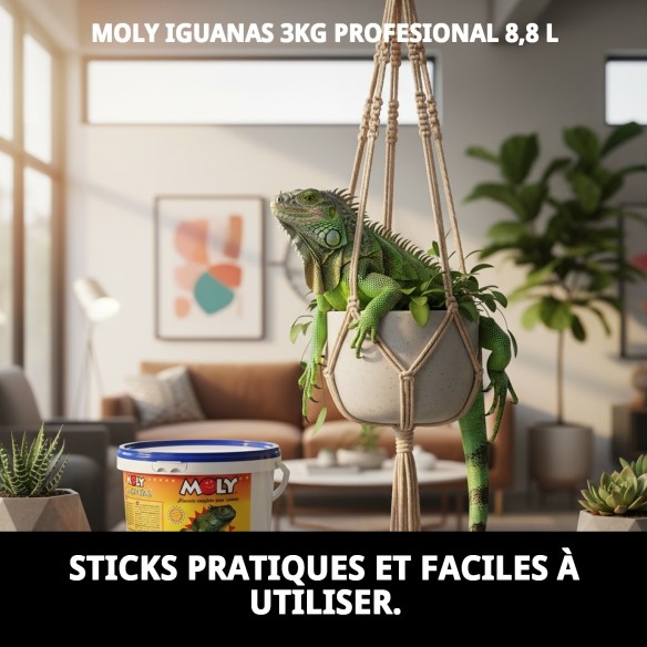 Aliment Professionnel Moly Iguanes 3kg pour Iguanes Verts
