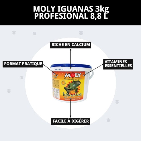 Aliment Professionnel Moly Iguanes 3kg pour Iguanes Verts