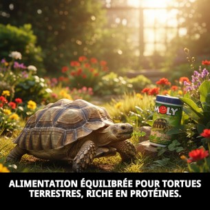 Aliment Premium pour Tortues Terrestres - Moly 250ml 2