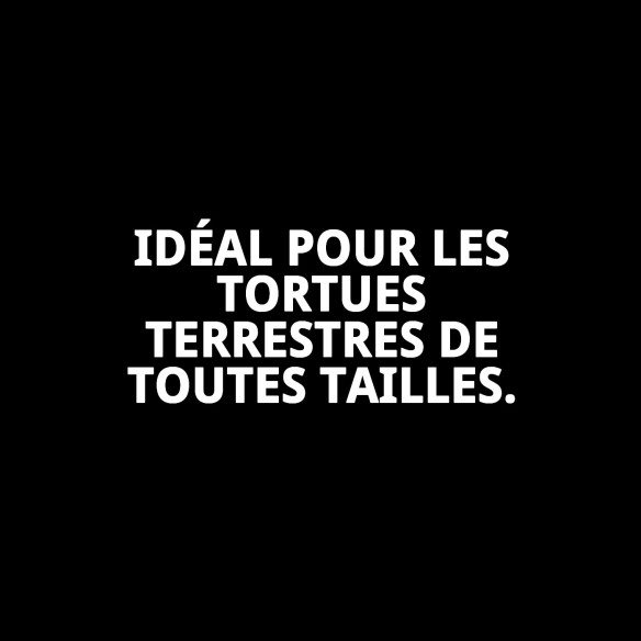 Aliment Premium pour Tortues Terrestres - Moly 250ml