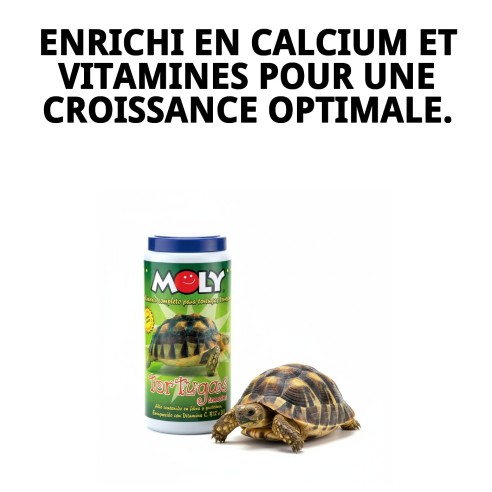 Aliment nutritif pour tortues terrestres - MOLY 360g