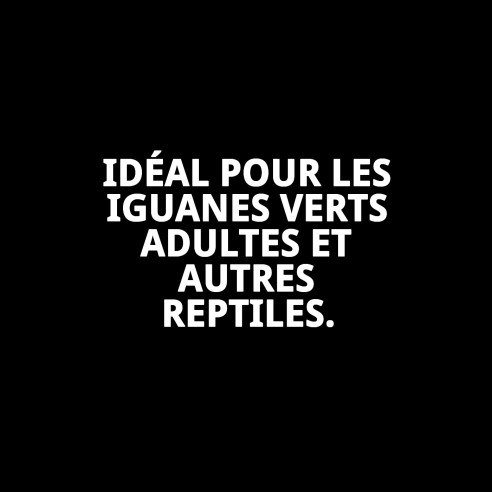 Aliment Premium Moly pour Tortues Terrestres 2,5 kg