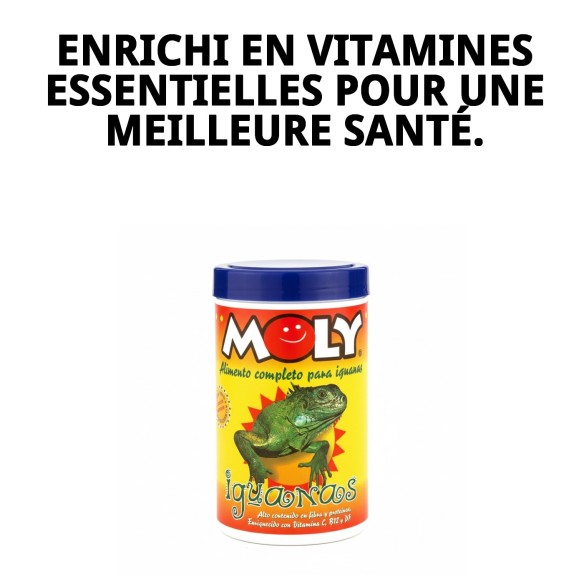 MOLY IGUANAS : Aliment complet 100g pour iguanes