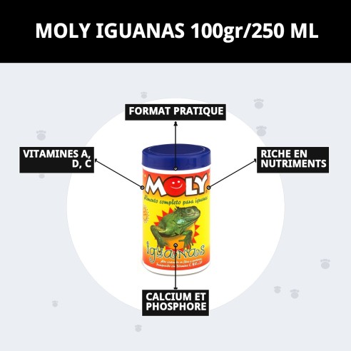 MOLY IGUANAS : Aliment complet 100g pour iguanes