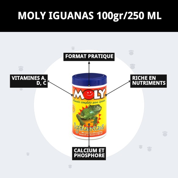 MOLY IGUANAS : Aliment complet 100g pour iguanes