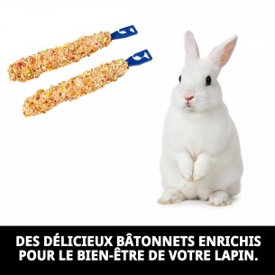 Barres de Fruits pour Lapins 2 Unités - Snack Sain 2