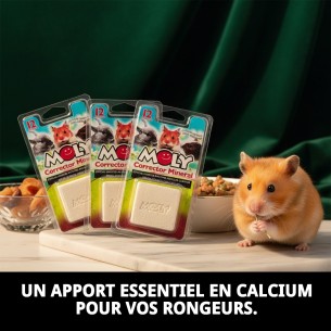 Moly Calcium pour Rongeurs 100g - Supplément Essentiel 2