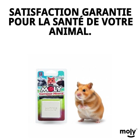 Moly Calcium pour Rongeurs 100g - Supplément Essentiel