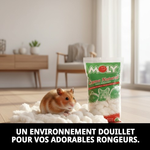 Lit MOLY pour Rongeurs 30g - Confort et Chaleur