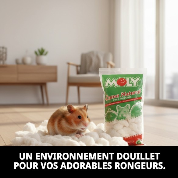 Lit MOLY pour Rongeurs 30g - Confort et Chaleur