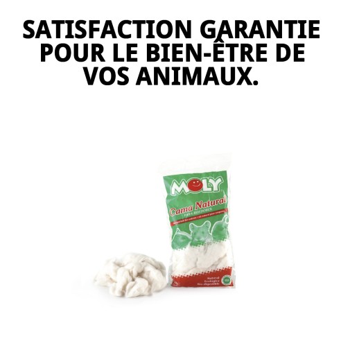 Lit MOLY pour Rongeurs 30g - Confort et Chaleur