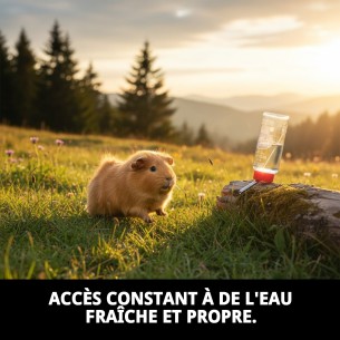 Abreuvoir pour rongeurs 320 ml - Eau fraîche et propre 2