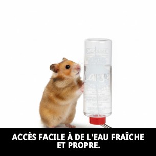 Abreuvoir pour rongeurs 600 ml - Eau propre et fraîche 2