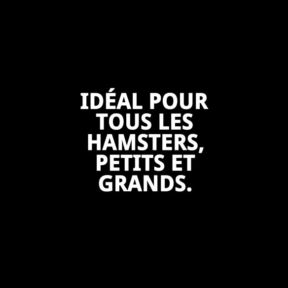 Gamelle Carrée pour Hamster - Couleur et Fonctionnalité