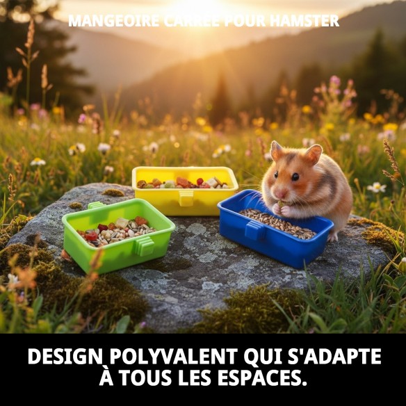 Gamelle Carrée pour Hamster - Couleur et Fonctionnalité