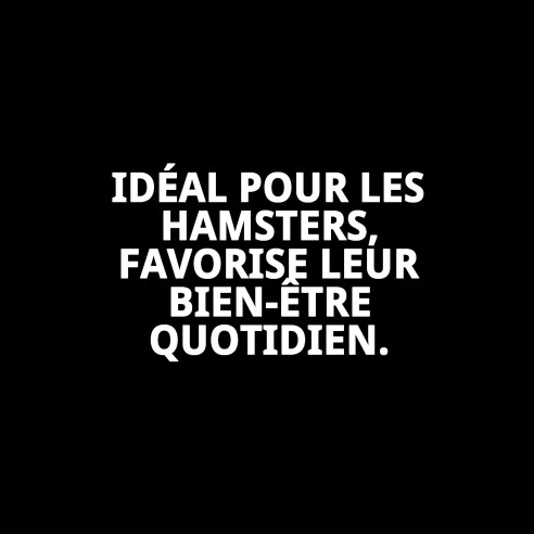 Boule d'exercice pour hamster 13 cm - Amusement en toute sécurité