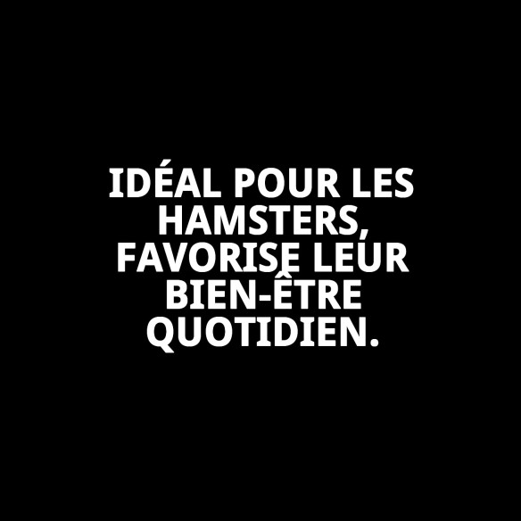 Boule d'exercice pour hamster 13 cm - Amusement en toute sécurité