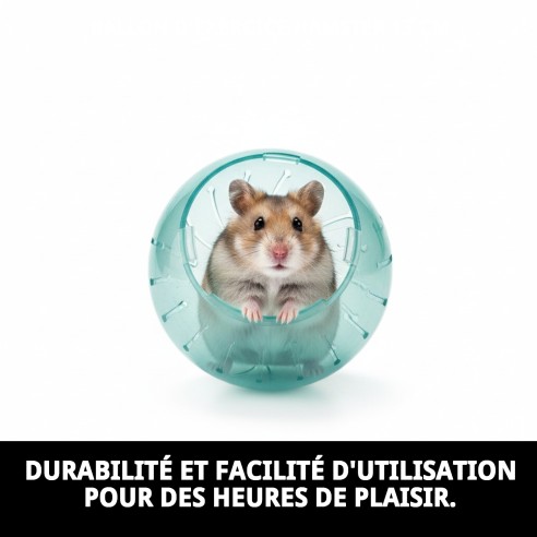 Boule d'exercice pour hamster 13 cm - Amusement en toute sécurité