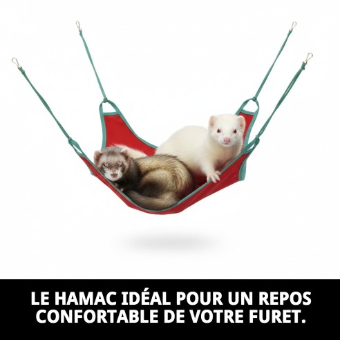 Hamac Cage pour Furet 45x45 cm - Confort et Amusement