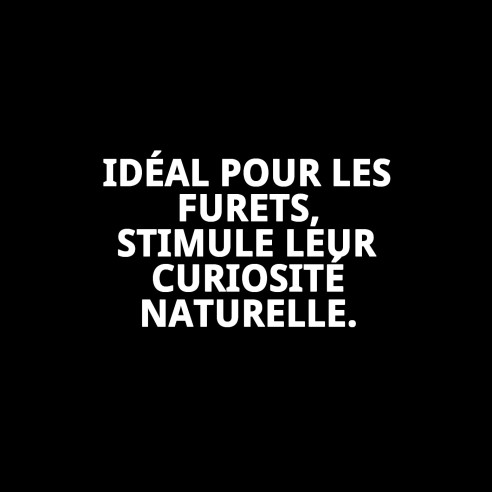 Tunnel Cage pour Furets - Accessoires Amusants et Sûrs