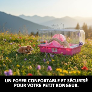 Cage pour hamster N.1 - 30x23x21 cm, démontable et pratique. 2