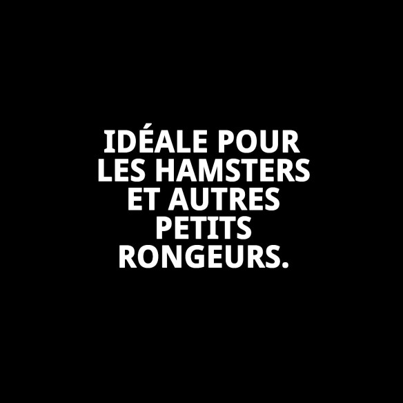 Cage pour hamster N.1 - 30x23x21 cm, démontable et pratique.